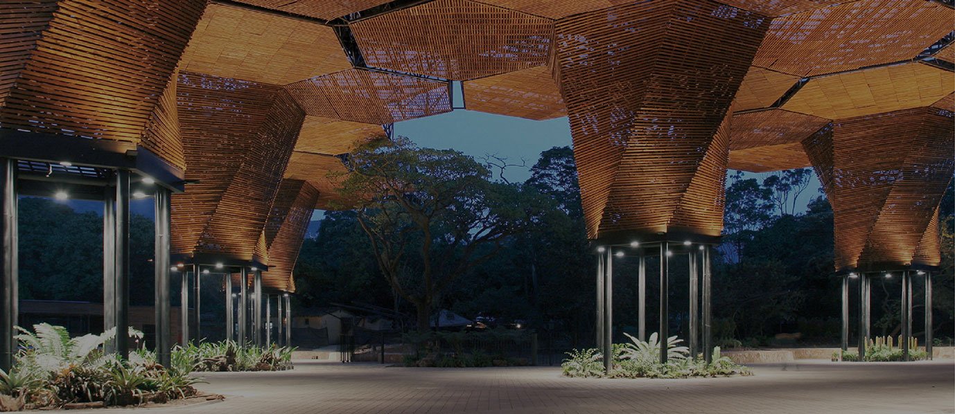 medellin